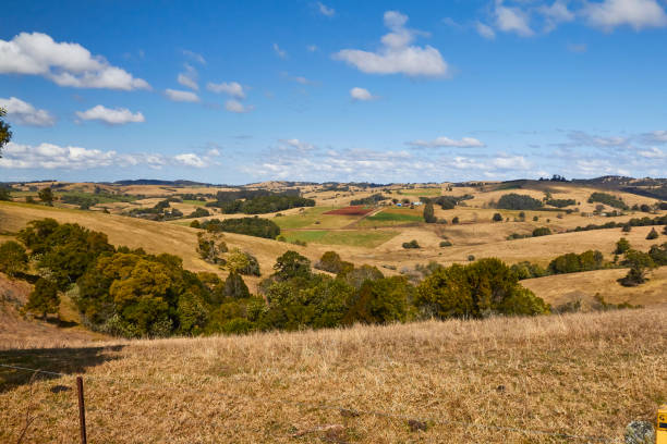 istock Coppermine Creek scenes, NSW, Australia 1205151823