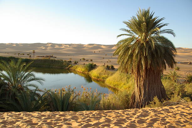 lake in wüste, libyen - ubari stock-fotos und bilder