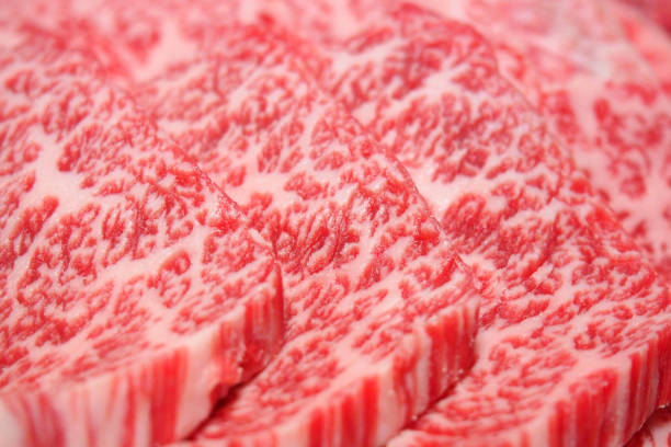 istock Meat used for yakiniku 1205154210
