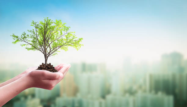 istock Earth day concept: Human hand holding tree over city background 1205154215