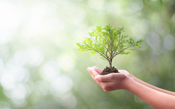 istock Earth day concept: Human hand holding tree over city background 1205154216
