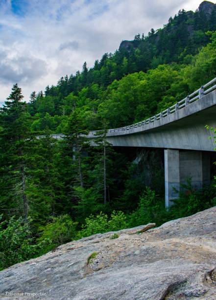 istock Blue Ridge Parkway Linn Cove Viaduct 1205156278