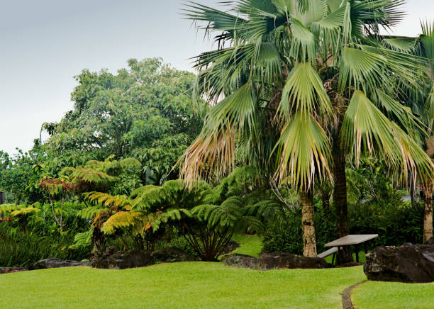 istock Tropical Landscaped Garden 1205161154