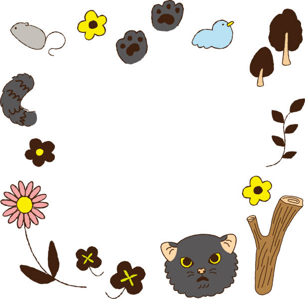 Animal Parks Near Me Illustrations, Royalty-Free Vector Graphics & Clip Art - iStock Animal Parks Near Me Illustrations, Royalty-Free Vector Graphics & Clip Art - iStock