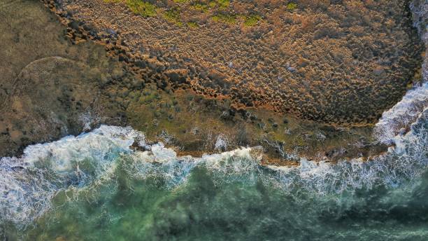 istock Hon do island or red island 1205163910