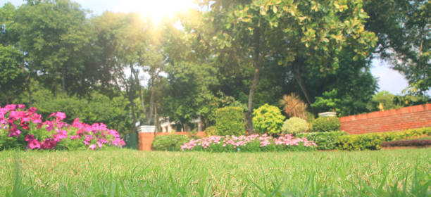 istock Pretty manicured flower garden with colorful 1205166349