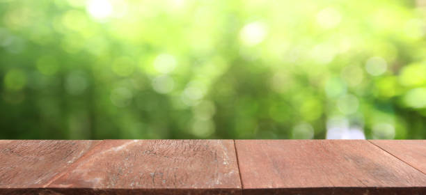 istock Nature background, Wood table display over blur green garden 1205166363