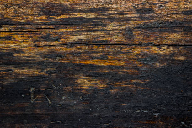 istock Old wood brown and black color abstract texture background. 1205168176