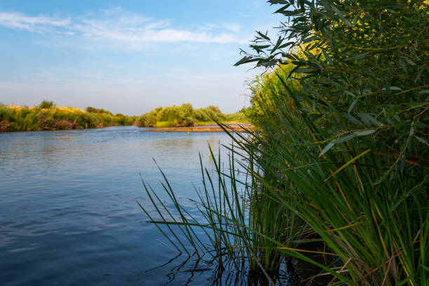 istock the river is especially beautiful on a day 1205169123