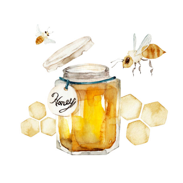 꿀벌 - honey hexagon honeycomb spring stock illustrations