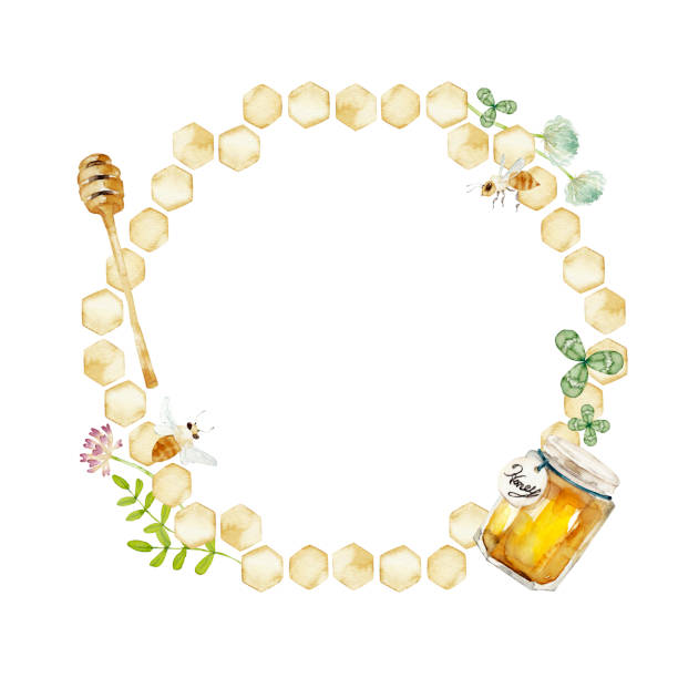 ilustraciones, imágenes clip art, dibujos animados e iconos de stock de marco de abeja sin miel - honey hexagon honeycomb spring