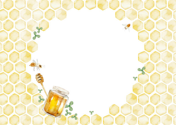 ilustraciones, imágenes clip art, dibujos animados e iconos de stock de fondo de marco de abeja sin miel - honey hexagon honeycomb spring
