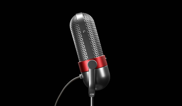 istock Old fashion retro microphone 1205170810