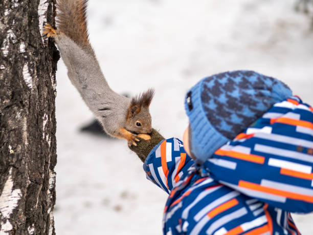 istock A little child in winter feeds a squirrel with a nut. 1205170830