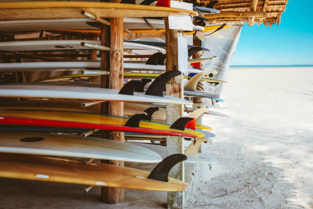 istock Colorful surf boards in shop for rent 1205171140