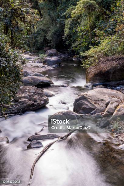 Savegre River San Gerardo De Dota Quetzales National Park Costa Rica Stock Photo - Download Image Now