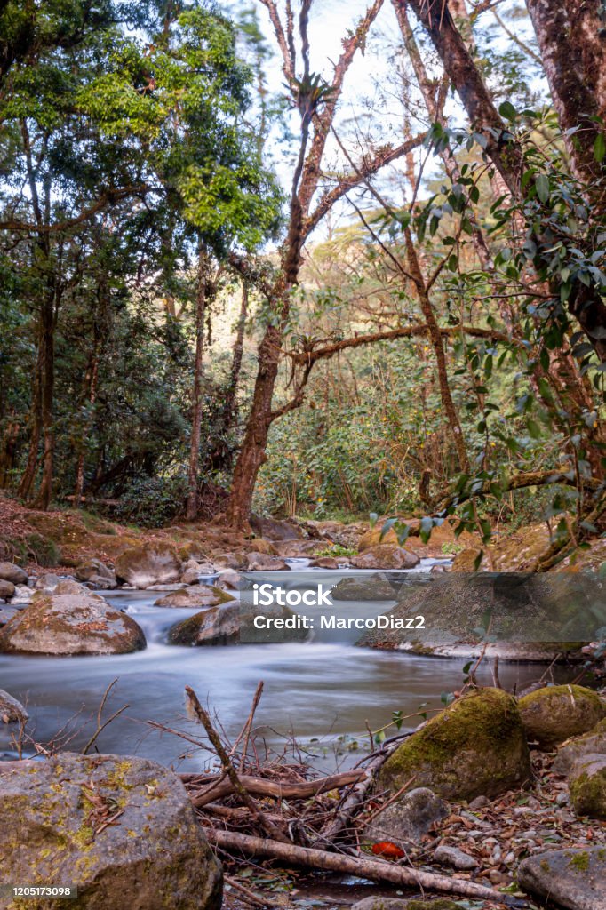 Savegre River, San Gerardo de Dota. Quetzales National Park, Costa Rica. Savegre River, San Gerardo de Dota. Quetzales National Park, Costa Rica. The cleanest river in Central America. Brightly Lit Stock Photo