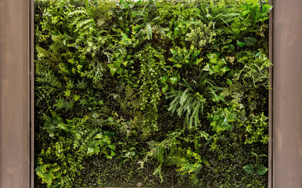 istock vertical green garden for background 1205173304