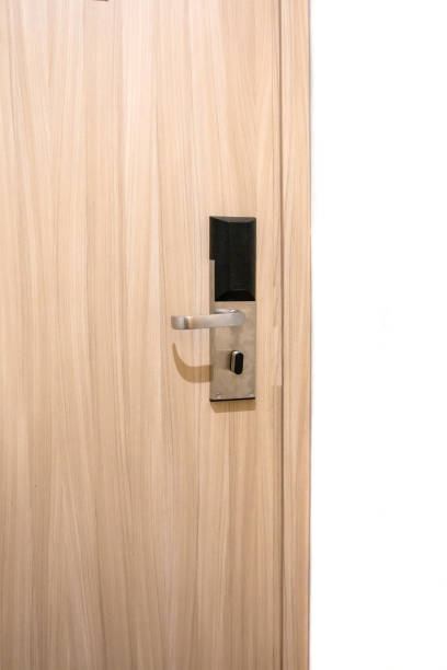 istock modern interior wooden door 1205177637