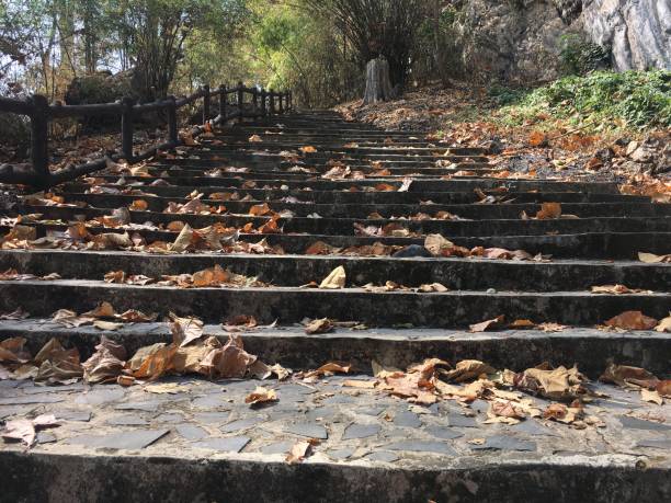 istock Up the stairs in Thailand 1205179673