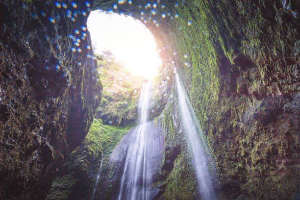 istock Jungle waterfall cascade in tropical rainforest.  Waterfall In Jungle ,Bali ,indonesia 1205179942
