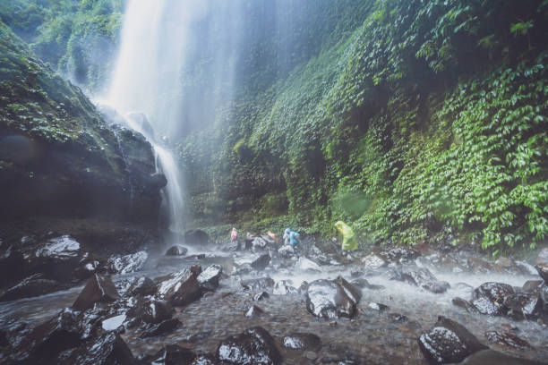 istock Jungle waterfall cascade in tropical rainforest.  Waterfall In Jungle ,Bali ,indonesia 1205181154