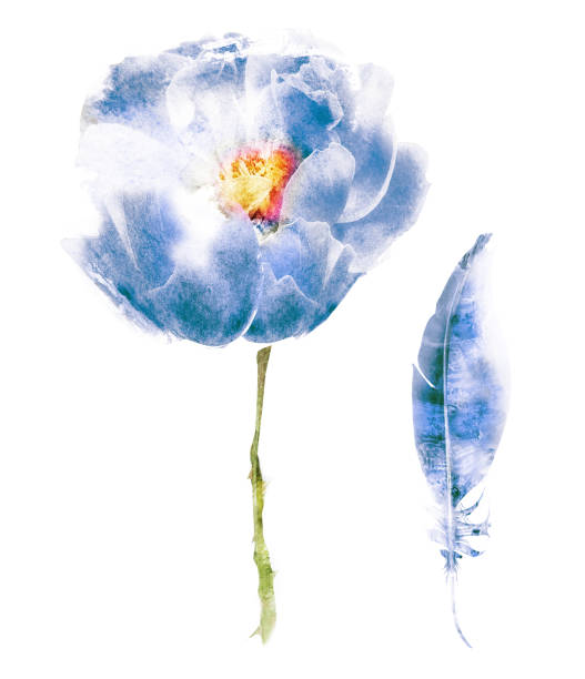 istock Watercolor flower and feather, isolated on white 1205184312