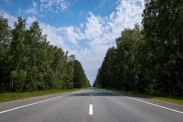 istock asphalt road for cars through the forest 1205185631