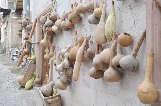 Photo of Dried gourds hanging outside the wall at Cappadocia.