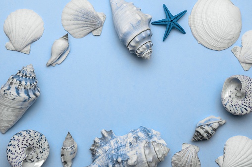 Shells, starfish isolated on trendy aquamarine light blue pastel color background with blank space for text. Top view travel or vacation concept. Summer background. Flat lay