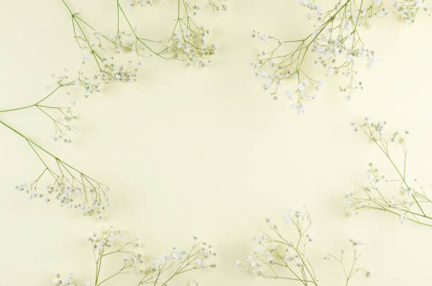 istock Frame from gypsophila branches on a yellow paper background. 1205195311