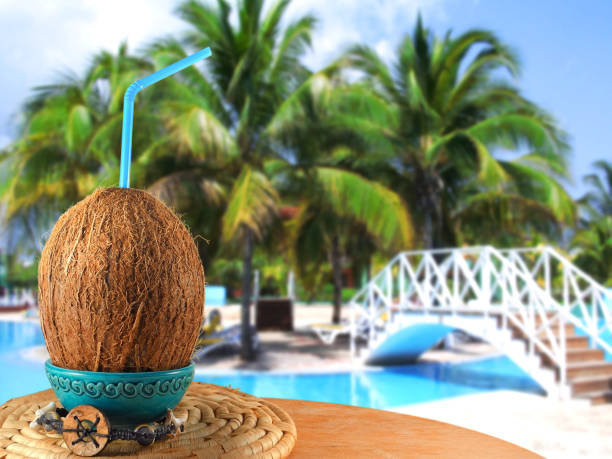 Coconut with straw on wooden table of beach cafe stock photo