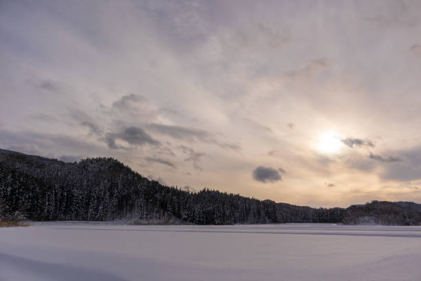istock Snow Covered Trees,Japan winter Landscape 1205199035