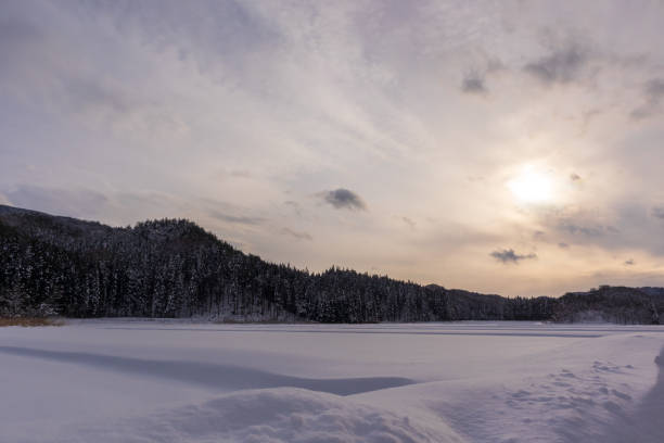 istock Snow Covered Trees,Japan winter Landscape 1205199047