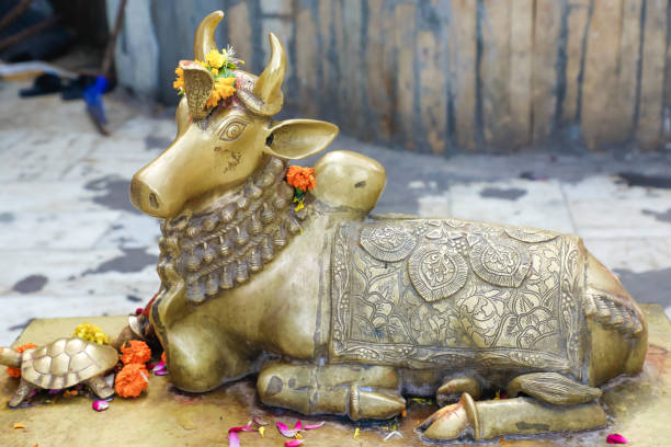 estátua de touro no templo hinduísmo - shiv bangalore shiva god - fotografias e filmes do acervo