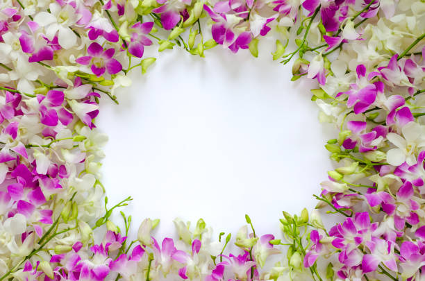 Beautiful composition spring flowers. Pink flowers on yellow background. Valentine's Day, Easter, Birthday, Happy Women's Day, Mother's Day. Flat lay, top view, copy space