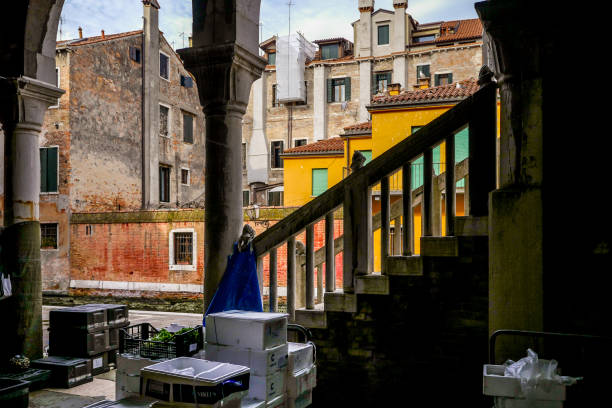 uma vista do mercado de peixes de veneza perto da ponte rialto - market rialto bridge venice italy italy - fotografias e filmes do acervo