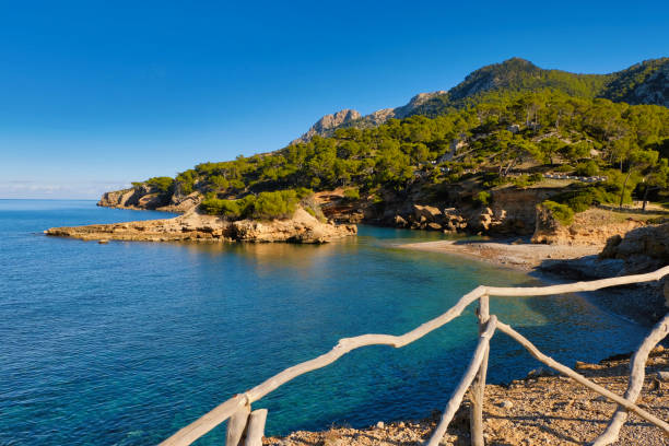 istock Platja de S'Illot - Iceland Mallorca 1205206055
