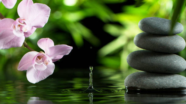 istock Dripping drops of water with black lava stones 1205206684