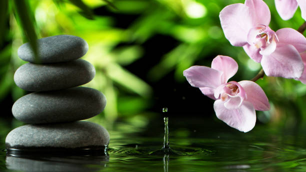 istock Dripping drops of water with black lava stones 1205206869