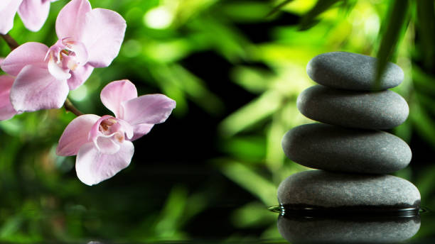 istock Tranquil water surface with black lava stones 1205207212