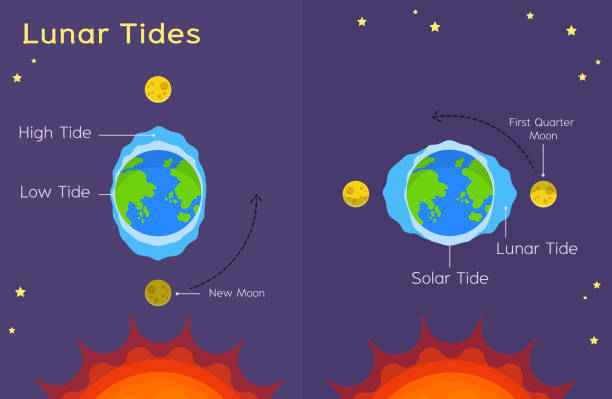 istock Lunar Tides - Astronomy for kids - The Moon's Effect on Ocean Tides 1205207814