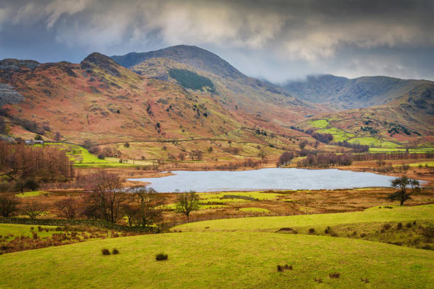English Lake District National Park Little Langdale United Kingdom Beautiful lake within rolling landscape under moody skyscape in winter. Little Langdale, English Lake District National Park, United Kingdom langdale pikes stock pictures, royalty-free photos & images