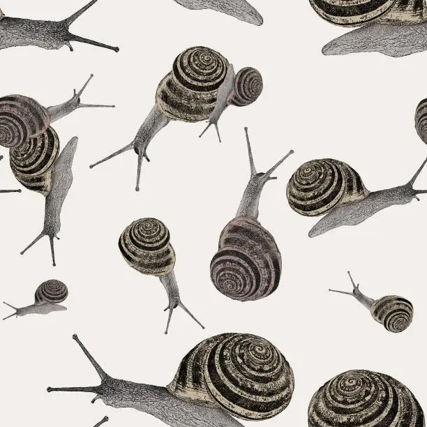 Vector illustration of Snails Seamless Repeat