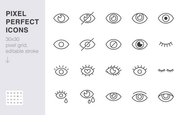 Eye line icon set. Open, closed eyes, visible invisible concept, hidden password, view minimal vector illustrations. Simple outline signs for web application ui. 30x30 Pixel Perfect. Editable Strokes Eye line icon set. Open, closed eyes, visible invisible concept, hidden password, view minimal vector illustrations. Simple outline signs for web application ui. 30x30 Pixel Perfect. Editable Strokes. secret-icon stock illustrations