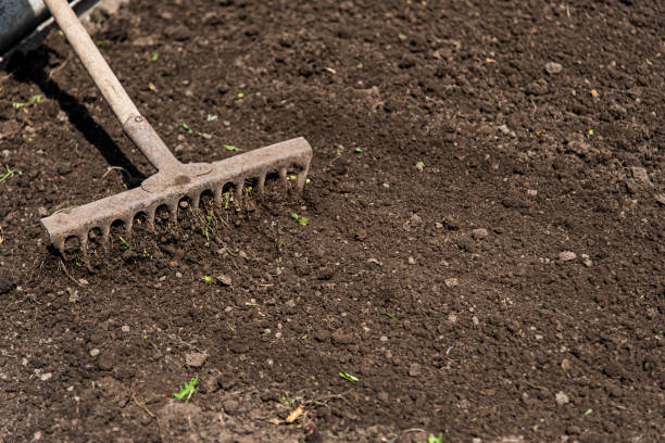 istock man loosens the earth with a rake 1205210719