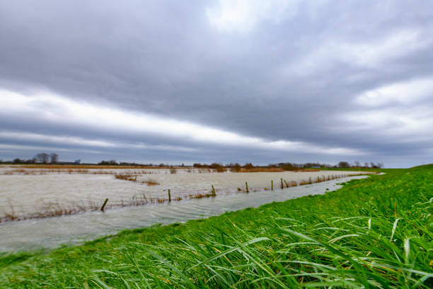 alto nível de água no rio ijssel perto de zwolle em overijssel, holanda. - cloud morning delta landscape - fotografias e filmes do acervo