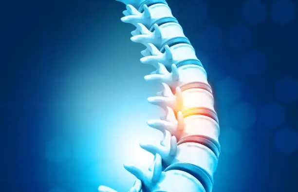 Human spine, vertebrae anatomy on science background. 3d illustration