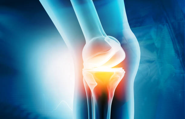 istock Anatomy of knee joint 1205212332