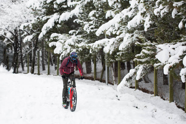 눈 속에서 자전거 타기 - turkey extreme terrain snow nature 뉴스 사진 이미지